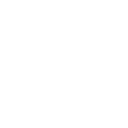 Nevada icon